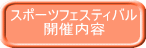 スポーツフェスティバル 開催内容 
